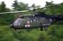 distel007.jpg