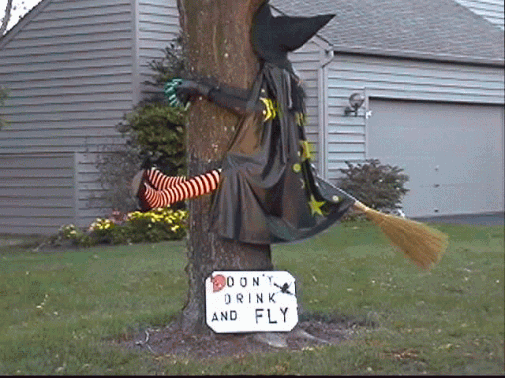 witch.gif (97666 Byte)