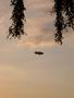 zeppelin_02.jpg