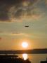zeppelin_04.jpg